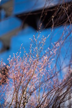 Cam paneller ve parlak tasarım içeren modern bir binanın mimari yakın çekimi. Aynalı yüzeyler gökyüzünü yansıtıyor, şehir planlamada yenilik ve zarafeti vurguluyor.