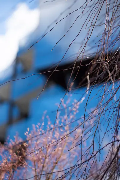 Cam paneller ve parlak tasarım içeren modern bir binanın mimari yakın çekimi. Aynalı yüzeyler gökyüzünü yansıtıyor, şehir planlamada yenilik ve zarafeti vurguluyor.