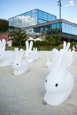 Şehirde tavşan var. Parktaki tavşan.