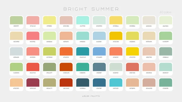 Bright Summer Palette Moda Vibraciones Tendencia Color Previsión Paleta Colores — Vector de stock
