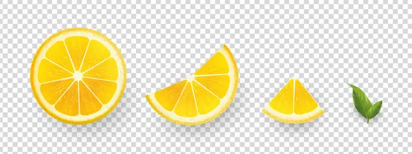 Gerçekçi Limonlar Taze Narenciye Yarım Dilimlenmiş Limon Meyvesi Vektör Illüstrasyonu — Stok Vektör