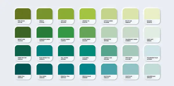 Renkli Yeşil Renk Kılavuzu Paleti. RGB HEX 'li Katalog Örnekleri Yeşil. Neomorfizm Vektörü