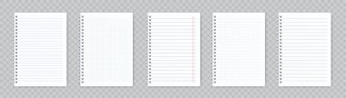 Not defteri vektör düzeni seti. Spiral defter ya da düzenleyici sayfaları