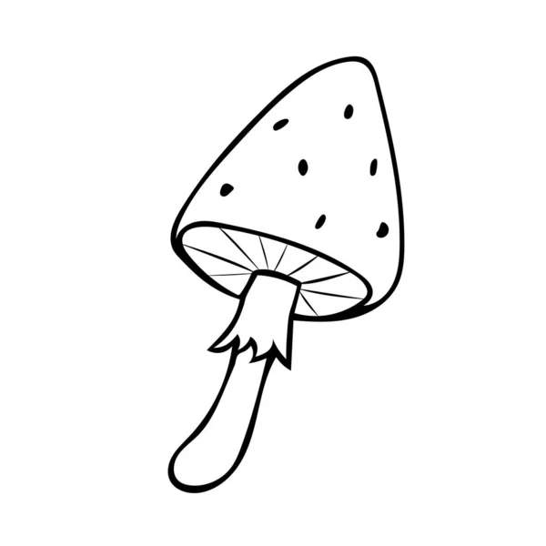 Hand Drawn Mushroom Vector Illustration Style Doodle — Stock Vector