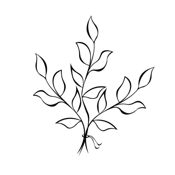 葉を持つ手描きの小枝のベクトルイラスト — ストックベクタ