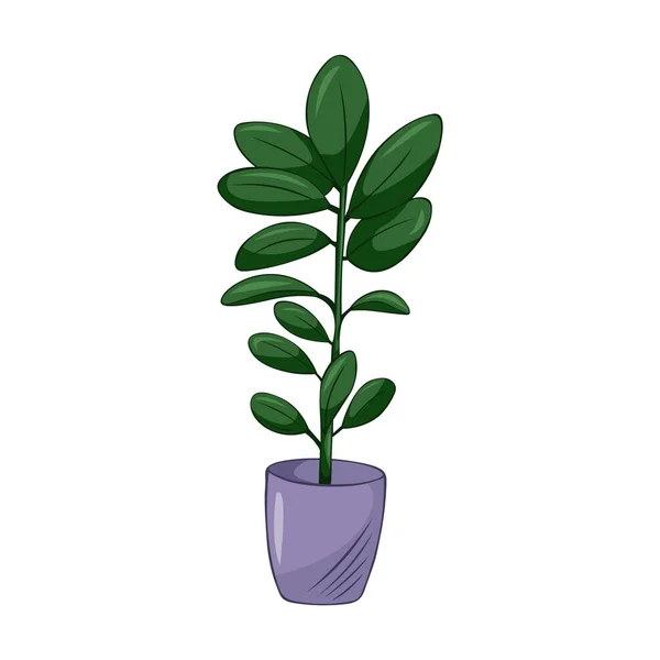 Hand Drawn Cute Summer Illustration Growing Ficus Pot Flat Vector — Stock Vector