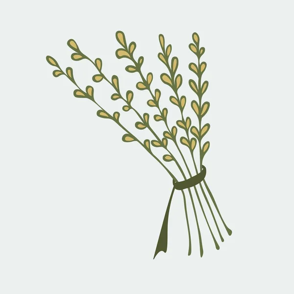 Векторна Ілюстрація Мальованого Пучка Трав Пов Язаних Мотузкою — стоковий вектор