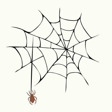 Elle çizilmiş örümceğin vektör çizimi ve ağ