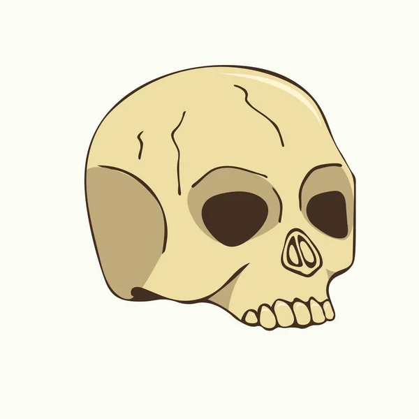 Vector Illustration Hand Drawn Human Skull White Background — Stock Vector