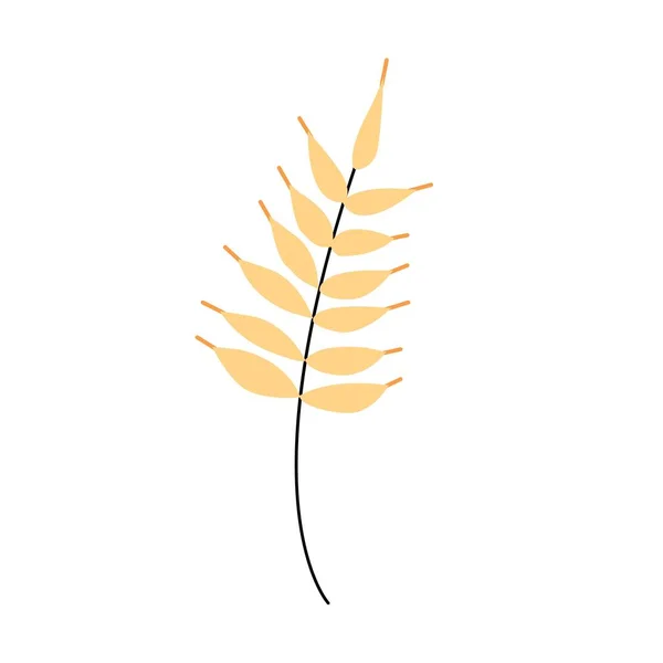 Векторна Ілюстрація Пшениці Білому Тлі — стоковий вектор