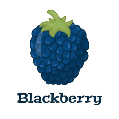 Koyu mor böğürtlen düz simgesi, beyaz üzerine izole edilmiş ekolojik gıdaların renkli vektör çizimi