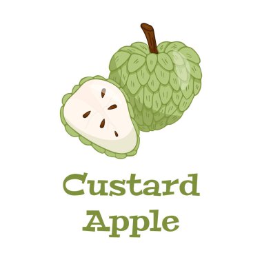 Kremalı elma, tam meyve ve yarısı dilimlenmiş. Cherimoya, annona reticulata, yabani tatlandırıcı, acı sos, elma şekeri ikonu.