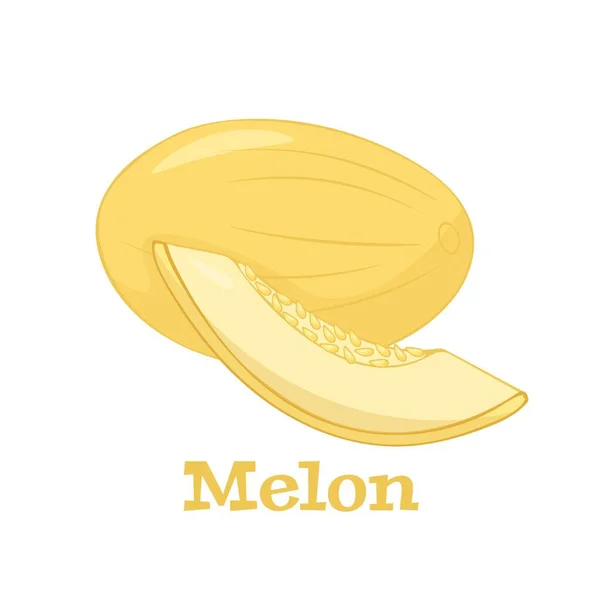 Medový Meloun Celé Čerstvé Zralé Sladké Ovoce Nakrájeným Šťavnatým Kouskem — Stockový vektor