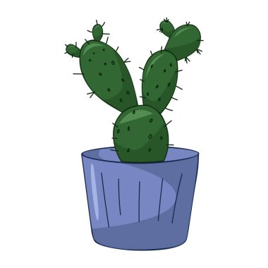 Beyaz arkaplan vektör illüstrasyonunda saksı içindeki ev bitkisi kaktüsü