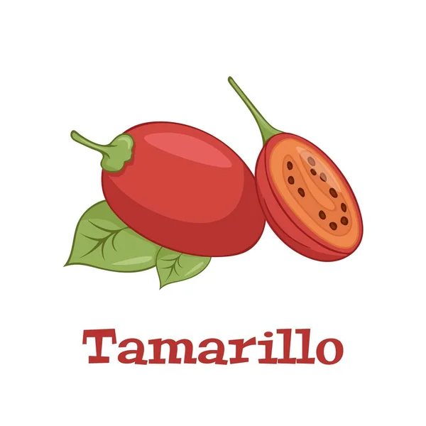 Tamarillo Solanum Betaceum Geïsoleerd Witte Achtergrond Vector Illustratie — Stockvector