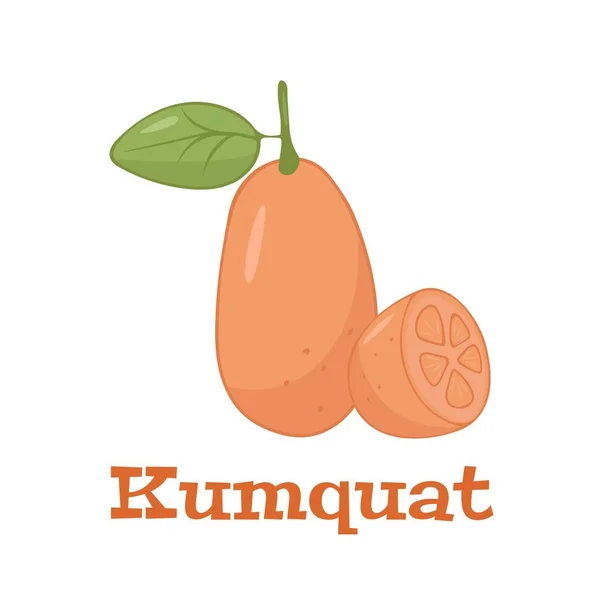 Flacher Vektor Der Kumquat Frucht Isoliert Auf Weißem Hintergrund — Stockvektor