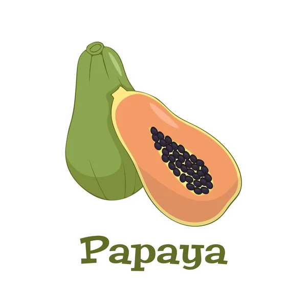 Sommerfrüchte Für Einen Gesunden Lebensstil Papaya Ganze Frucht Und Halbe — Stockvektor