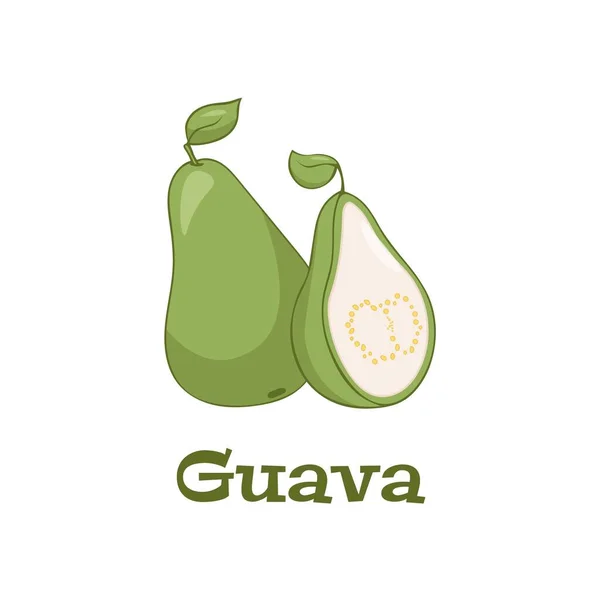 Guava Ízletes Ehető Trópusi Zöld Gyümölcs Ikon Vektor Guava Rajzfilm — Stock Vector