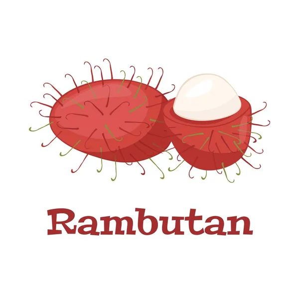 Exotische Rambutanfrucht Schmackhafte Saftige Sommerzutat Vector Rambutan Cartoon Illustration Isoliert — Stockvektor