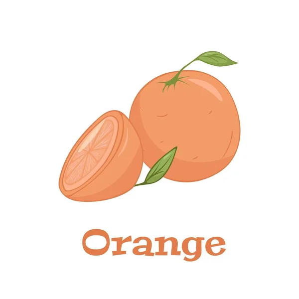 Vectorset Van Kleurrijk Plakje Geheel Sappig Sinaasappel Verse Cartoon Oranje — Stockvector