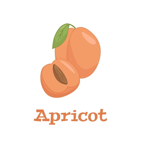 Vecteur Plat Abricots Isolé Sur Fond Blanc Illustration Plate Icône — Image vectorielle