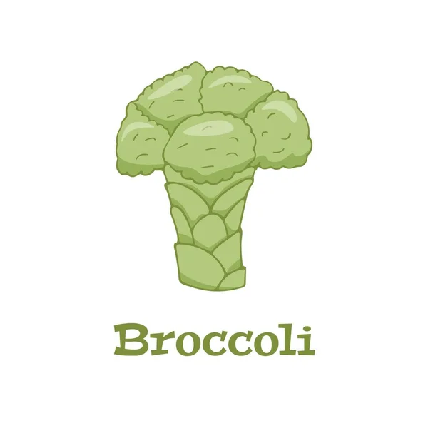 Brokolice Jednoduché Ploché Vektorové Logo Bílém Pozadí — Stockový vektor