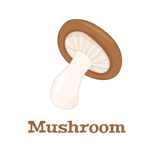 Hand Drawn Color Vector White Mushroom White Background — Stock Vector