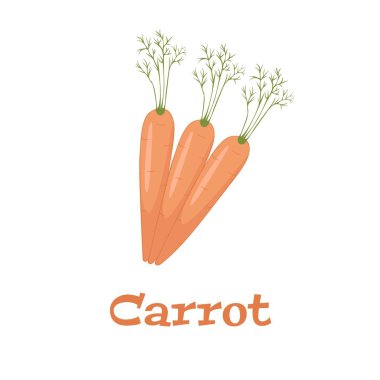Havuç. Vitamin sebzesi. Organik yiyecekler. Turuncu havuç. Beyaz arkaplanda izole edilmiş vektör illüstrasyonu.