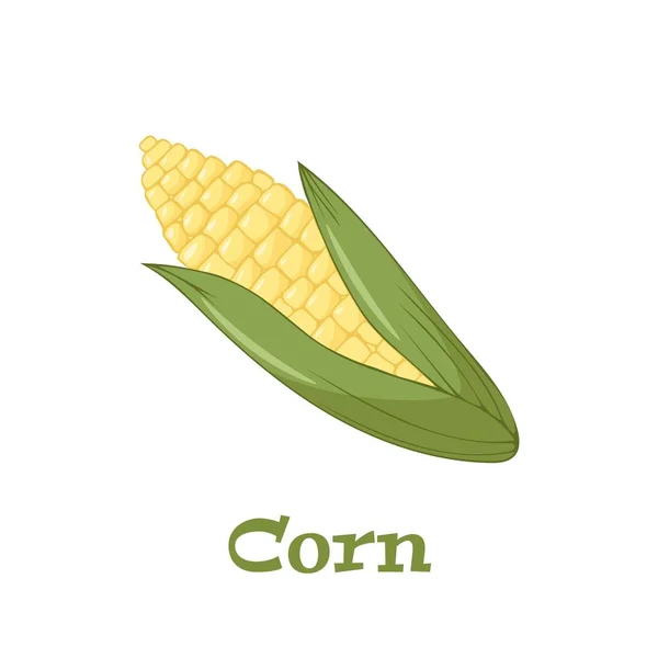 Векторная Иллюстрация Сладкой Золотистой Кукурузы Кучка Кукурузы Летние Элементы Дизайна — стоковый вектор