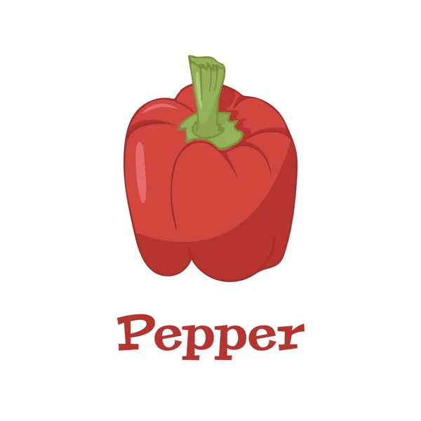 Čerstvé Lahodné Červené Paprika Izolované Bílém Pozadí Strava Pojetí Potravin — Stockový vektor