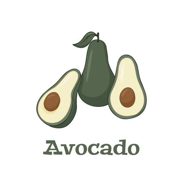 Vector Icoon Van Avocado Avocado Fruit Plat Design Vectorillustratie — Stockvector