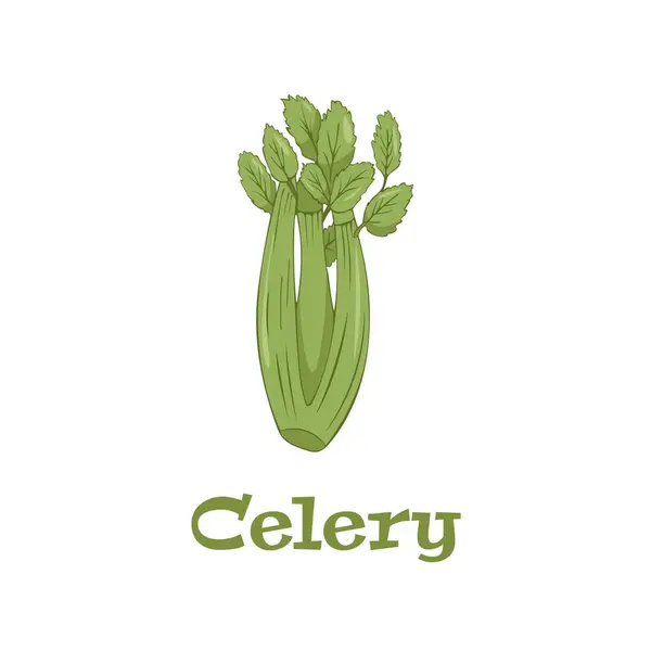 Příroda Organická Zelenina Celer Zdravý Vektor Barevné Potraviny — Stockový vektor