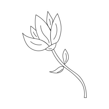 A single flower in doodle style on a white background