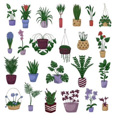 El 'in çizdiği el, saksıdaki bitkilerin hoş bir çizimi. Basit renkli karalama stilinde düz vektör. Ev bitkisi simgesi