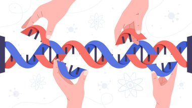 DNA 'lı eller. Kumaş üzerine baskı yapmak için tasarım ögesi tekrarlanıyor. İnternet sitesi için bilimsel afiş ya da poster. Kimya ve biyoloji, gen kodu ve hücre yapısı. Çizgi film düz vektör çizimi