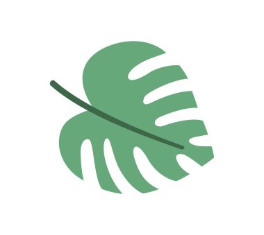 Tropik bitki ikonu. Yeşil canavar yapraklı renkli çıkartma. Güzel egzotik çiçek. Botanik, çiçekçilik ve doğa. Çizgi film düz vektör çizimi beyaz arkaplanda izole edildi