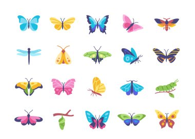 Parlak böcekler hazır. Güzel kelebek çıkartmaları, tırtıllar, güveler, yusufçuklar ve farklı açılardan uçan kozalar. Çizgi film düz vektör koleksiyonu beyaz arkaplanda izole edildi