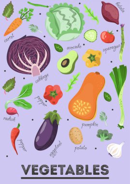 Sebzeli pankart. Lahana, havuç, pancar, avokado, biber, balkabağı, patlıcan, maydanoz, yeşillik, domates, salatalık. Mutfak hazır. Çizgi film düz vektör çizimi