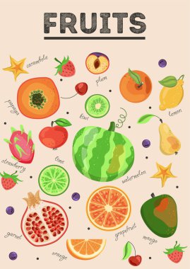 Meyve ve böğürtlenli poster. Karpuz, kivi, portakal, armut, papaya, nar, elma, çilek, limon, yabanmersini. Sulu yemek setiyle afiş. Çizgi film düz vektör çizimi