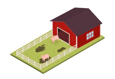 Domuzlu ahır. Hayvanlar kırmızı binanın yanındaki beyaz çitin arkasındaki çimlerin üzerinde çamurda duruyor. Çiftlik hayvanları ve sığırlar otlakta. Kırsal ve çiftçilik. Karikatür izometrik vektör çizimi