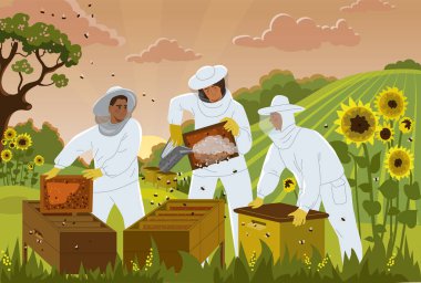 Arı kovanlı arıcılar. Arı kovanındaki işçiler bal toplar. Kovanı ve arısı olan bir çiftlik. Üniformalı Apiaristler tarlada böcekler ve çiçeklerle. Renkli yaz afişi. Çizgi film düz vektör çizimi