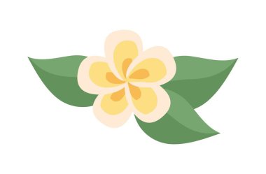 Spa bitkileri konsepti. Yapraklı beyaz çiçek. Sosyal ağlar ve kuryeler için etiket. Estetik ve zarafet, yaz ve bahar. Çizgi film düz vektör çizimi beyaz arkaplanda izole edildi