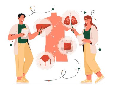 İnsan anatomisini inceliyorum. Tıbbi bilgilerin yanındaki kadın ve erkek. Biyoloji ve anatomi. Bilim adamları ve doktorlar insan vücudunun yapısını inceliyorlar. Çizgi film düz vektör çizimi
