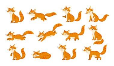 Kedi karakterleri hazır. Sosyal ağ için çıkartma koleksiyonu. Farklı pozlarda turuncu renkli kedi yavrusu. Yumuşak evcil hayvanlar veya evcil hayvanlar. Beyaz arkaplanda izole edilmiş çizgi film düz vektör çizimleri