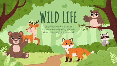 Yağmur ormanı kavramındaki hayvanlar. Vahşi yaşam ormanı. Ayı, geyik, tilki, rakun ve baykuş. Biyoloji ve hayvanlar, bitki örtüsü. Hayvanlarla güzel doğal manzara. Çizgi film düz vektör çizimi