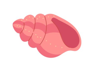 Yaz pembe kabuk vektörü konsepti. Su altı dünyası, deniz ve okyanus. Tropikal ve egzotik ülkelerde dinlenme sembolü, turizm. Çizgi film düz çizimi beyaz arkaplanda izole edildi