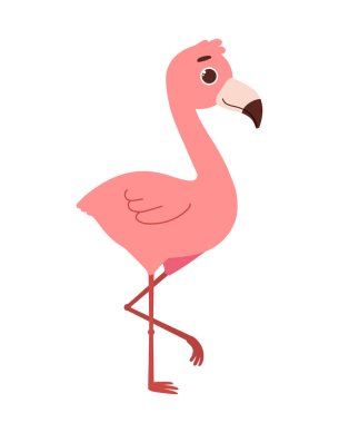 Yaz flamengo vektörü konsepti. Tüyleri ve kanatları olan pembe bir kuş. Tropik ve egzotik bir hayvan. Kuşbilim ve biyoloji. Poster ya da afiş. Çizgi film düz çizimi beyaz arkaplanda izole edildi