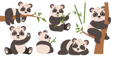 Bir çift sevimli panda. Farklı pozlarda tropikal ve egzotik hayvanlar. Hayvanlar ve vahşi yaşam. Sosyal ağlar ve kuryeler için çıkartmalar. Çizgi film düz vektör koleksiyonu beyaz arkaplanda izole edildi