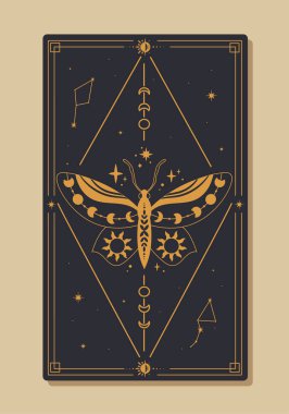Sihirli tarot kartı vektör konsepti. Altın çizgili geleneksel süsler. Minimalist kelebek. Mistisizm, büyü ve ezoterizm. Çizgi film düz vektör çizimi bej arkaplanda izole edildi