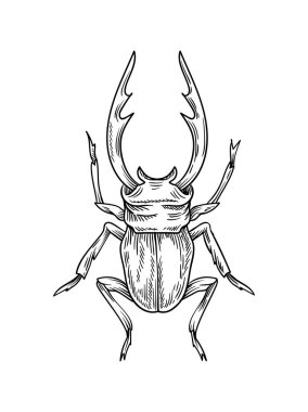 El yapımı böcek konsepti. Kanatlı şirin hayvan çizimi. Biyoloji ve zooloji. Web sitesi için grafik ögesi. Sembol ve logo. Beyaz arkaplanda izole edilmiş doğrusal düz vektör çizimi